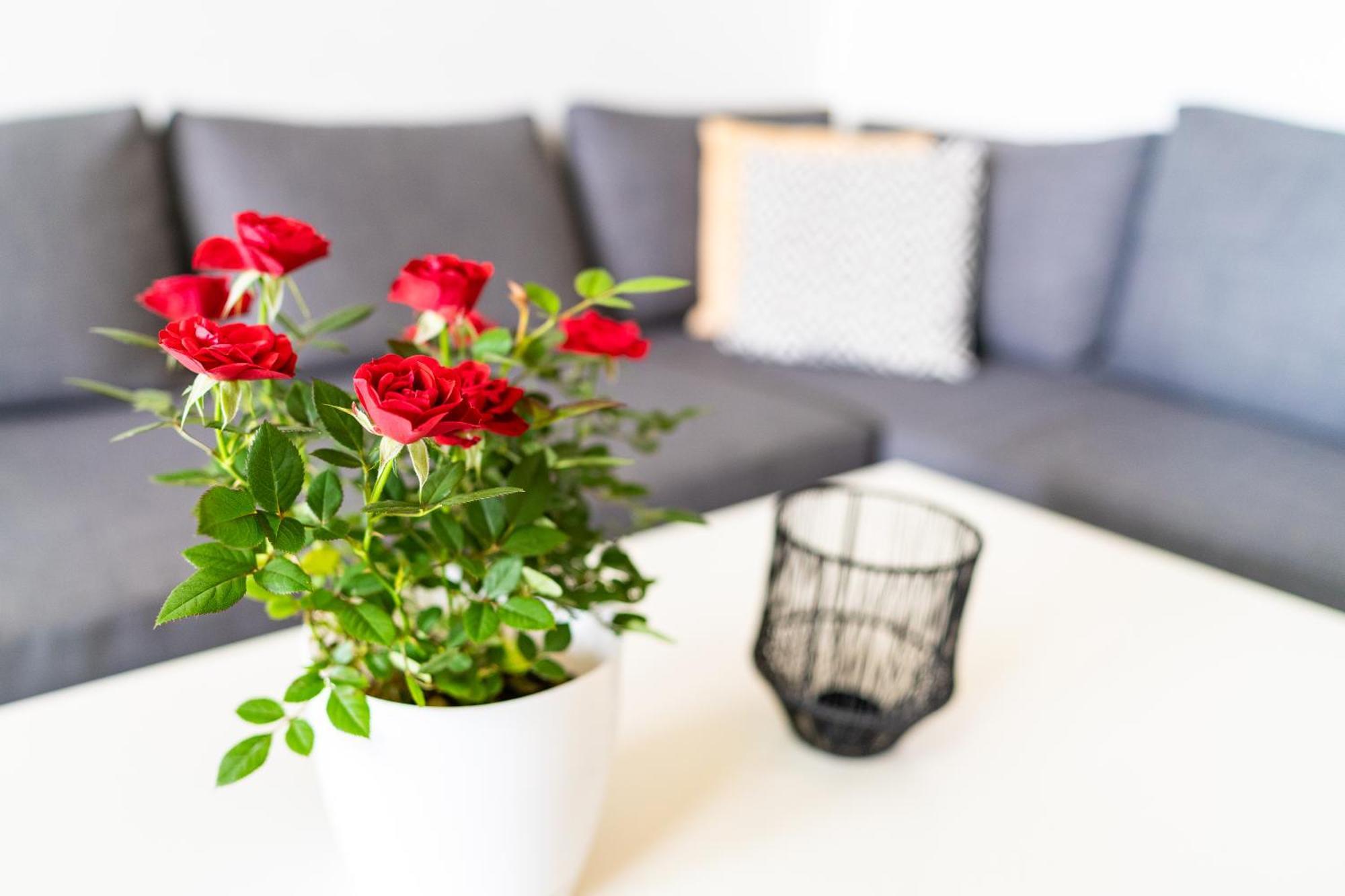 Sweet Rooms Bubesheim Bagian luar foto